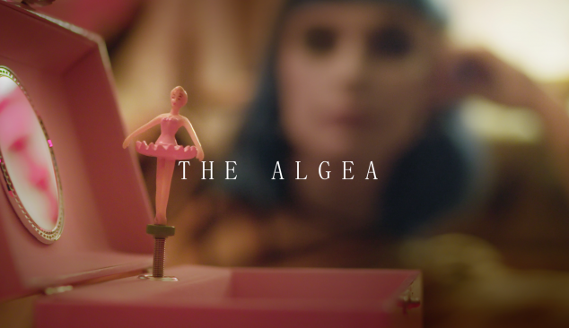 ‘The Algea’ with Chloe Rogers
